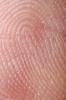 Fingerprint. The fingerprint and our identification
