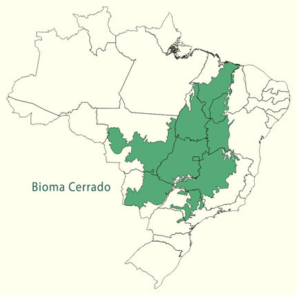 Cerrado Biome - Zemljevid