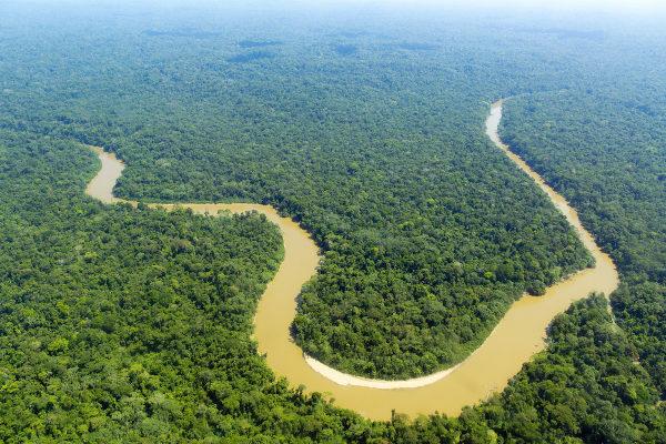 아마존 식물로 둘러싸인 Cononaco 강의 곡선.