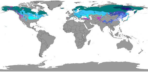 Plaatsen van voorkomen van het landklimaat (en zijn variaties) in de wereld, volgens de classificatie van Köppen-Geiger. [1]