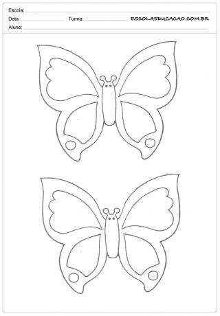 40 de forme de fluture