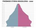Piramide dell'età della popolazione brasiliana. popolazione brasiliana