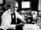 Alexander Fleming: biyografi, penisilinin keşfi ve ödüller
