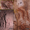 Wetenschappers vinden een 24.000 jaar oud rotskunstreservaat in Spanje; Look