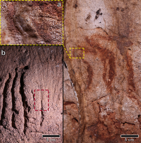 Gli scienziati trovano un santuario di arte rupestre di 24.000 anni in Spagna; Aspetto