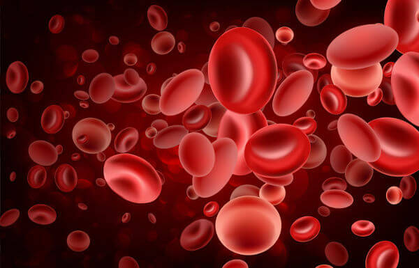 לתאי הדם האדומים צורת דיסק דו-קעורה.