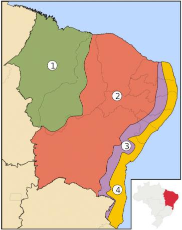 Kort med underregionerne i det nordøstlige, inklusive Agreste.