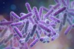 Ziekten veroorzaakt door bacteriën: lijst, symptomen en behandeling