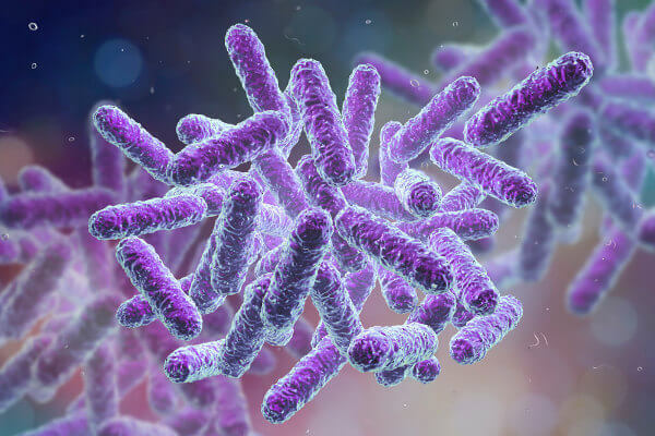 Ziekten veroorzaakt door bacteriën: lijst, symptomen en behandeling