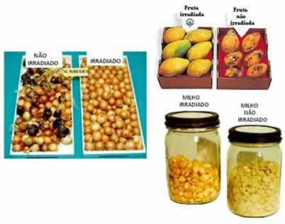 Irradiated and non-irradiated onion, papaya and corn kernels