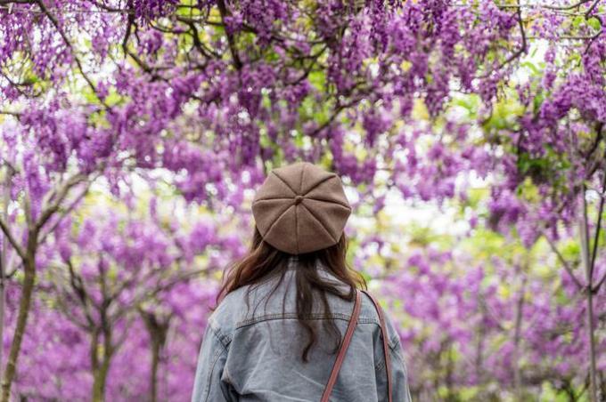 woman observes flowers during spring