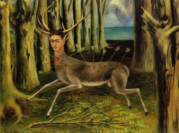 wounded deer
