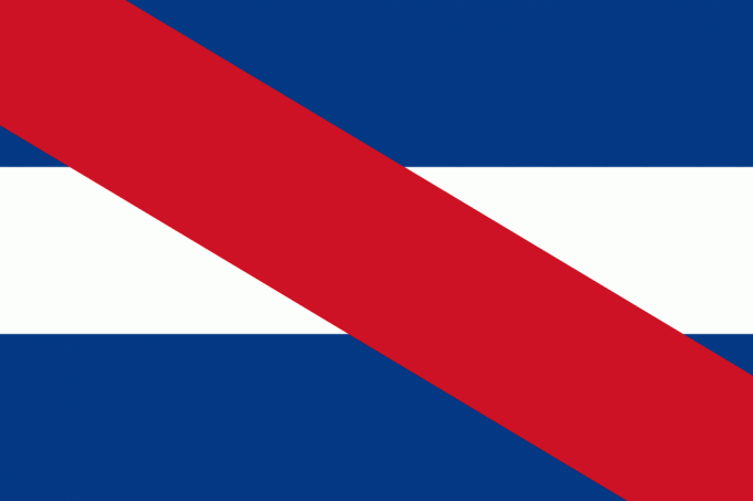 Flaga Artigas