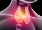Щитовидна жлеза: какво е това, функция, хипер и хипотиреоидизъм