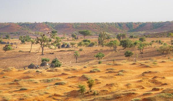 Nigeröknen, i Afrika, som en representation av ökenspridningsprocessen, ett av de största miljöproblemen.