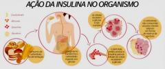 Qu'est-ce que l'insuline, ses fonctions et ses types