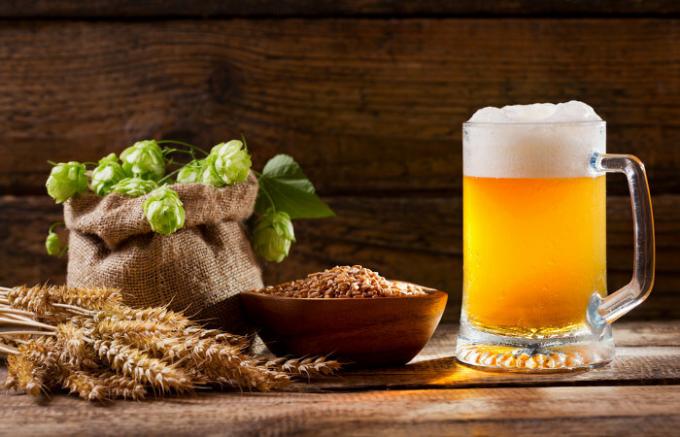 The different varieties of hops guarantee different flavors and aromas to the beers.