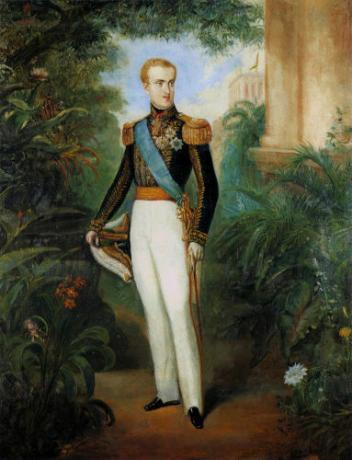Dom Pedro II: személyes élet, kormány, elmúlt évek