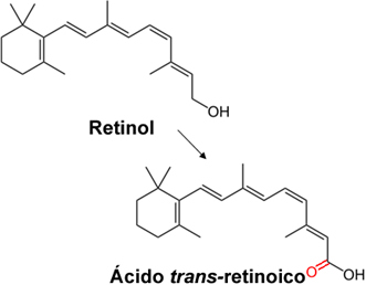 Konverze retinolu (vitaminu A) na jeho aktivní formu v kůži, kyselina trans-retinová
