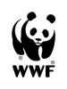 WWF nozīme (kas tas ir, jēdziens un definīcija)