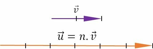 Vermenigvuldiging van een reëel getal n met een vector v.