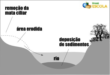 Schema di un'area insabbiata, con sedimenti depositati sul fondo del fiume