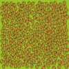 Can you find all the kiwis in this optical illusion?