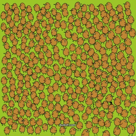 Kan du finde alle kiwier i denne optiske illusion?