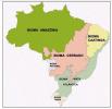 Brazilski biomi: sažetak, mapa uma, fauna i flora