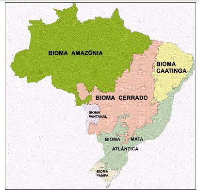 Brazilian biomes: summary, mind map, fauna and flora