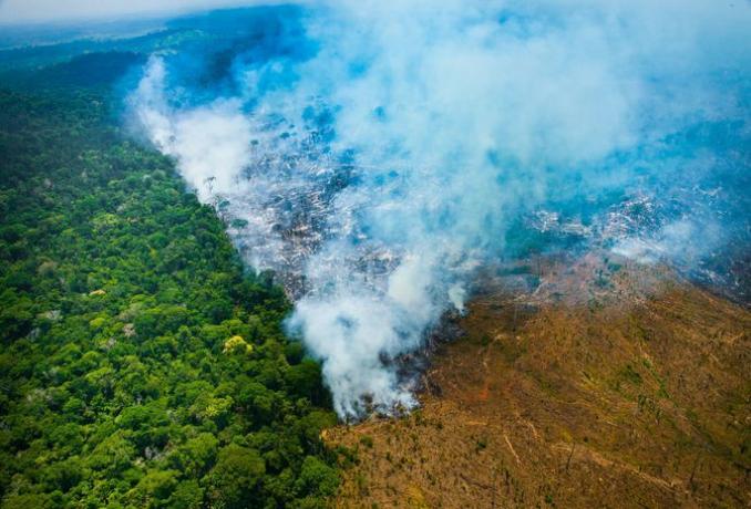 Déforestation et brûlis en Amazonie