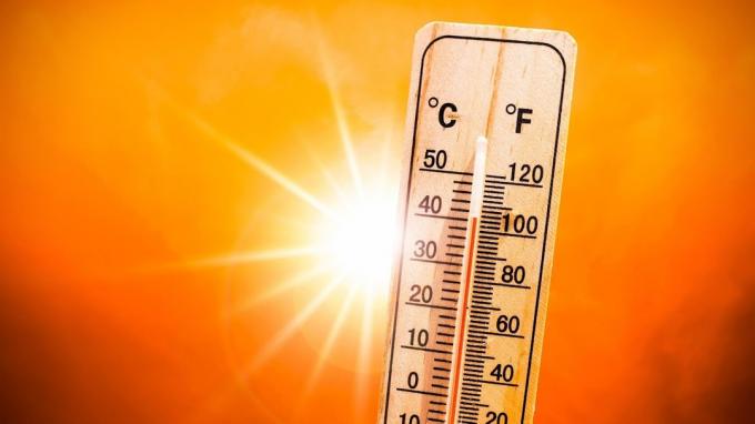 Зима 2023. је, према проценама, међу најтоплијим од 1961. године