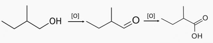 окисление 2-метилбутан-1-ола