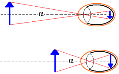 Veľkosť obrazu vytvoreného na sietnici je úmerná veľkosti objektu a uhlu pohľadu α. Čím bližšie, tým väčší je pozorovací uhol a tým väčší je obraz