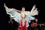 „Flamenko“: ispaniškos muzikos ir šokio istorija