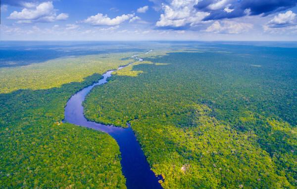 Légifelvételek egy erdős területről, amelyet egy folyó keresztez az Amazonasban.