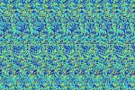 Optična iluzija: kaj je skrito število?
