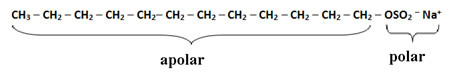 Sammansättning av det anjoniska ytaktiva medlet av schampon, lauryl eller natriumdodecylsulfat