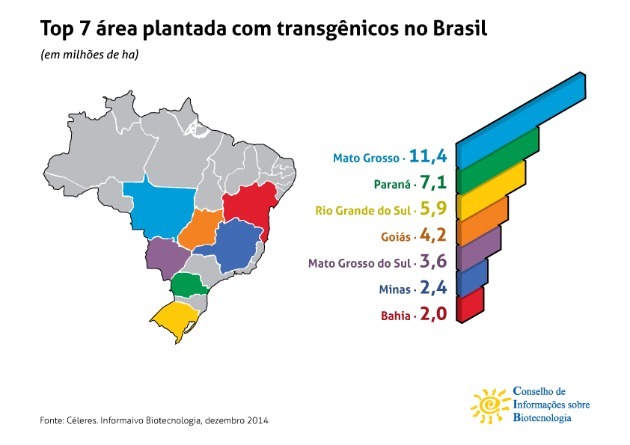 ブラジルでのトランスジェニックの生産
