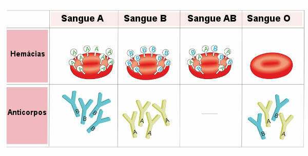 ABO sistēma: diagramma, asins grupas, vingrinājumi