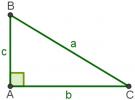 Trigonometrija v pravokotnem trikotniku