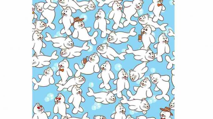 Find the marshmallow hidden among the seals in 17 seconds