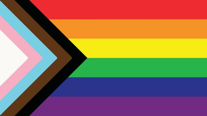 LGBT+ vlag met bruine en zwarte kleuren die niet-blanke mensen symboliseren.