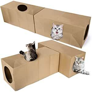 ให้กำลังใจแมวของคุณด้วยความช่วยเหลือของกล่องกระดาษแข็ง!
