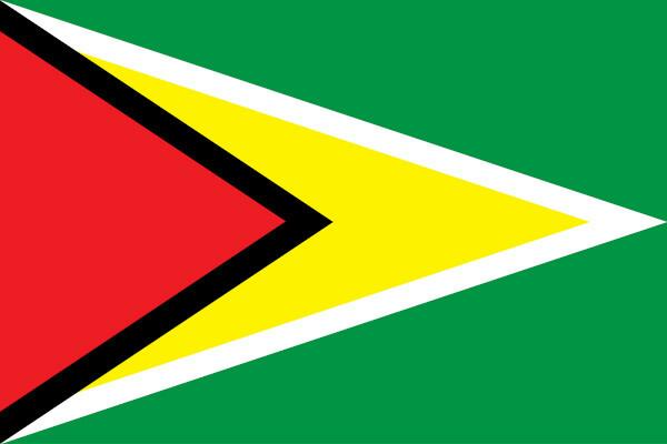 Vlag van Guyana, land in Zuid-Amerika.