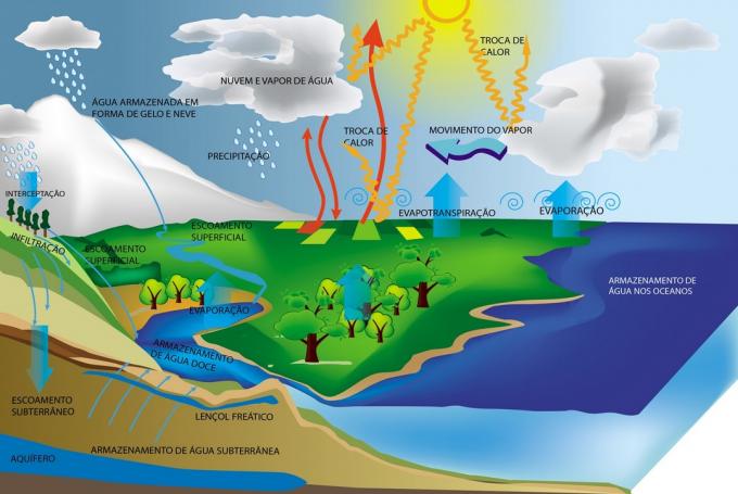 Physical States of Water - Water Cycle