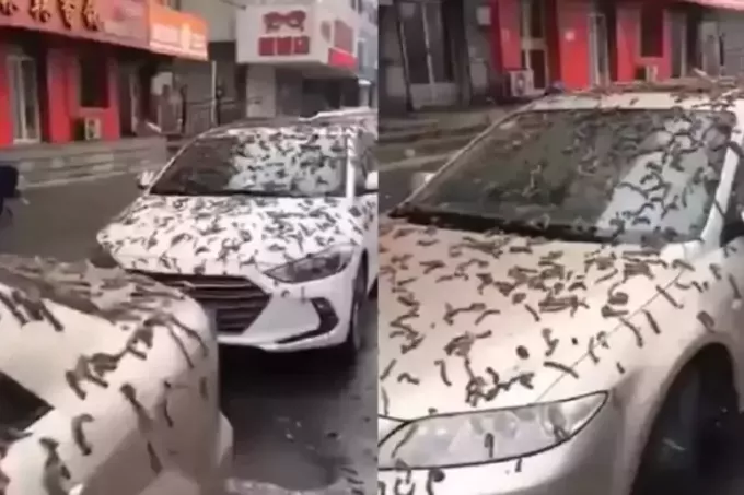 Аутомобиле погодила "киша црва" у Пекингу; видео постаје виралан!