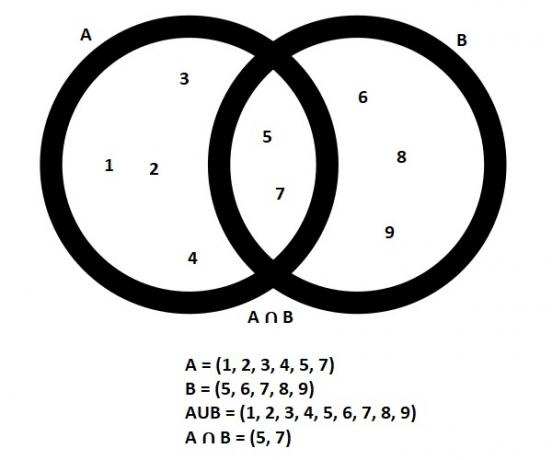 diagram Venn
