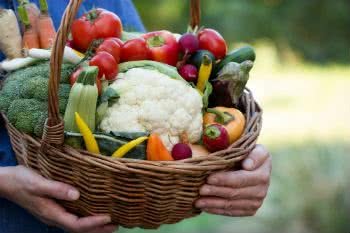 Какво представляват органичните храни?