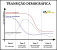 Demograafiline üleminek. Demograafilise ülemineku dünaamika